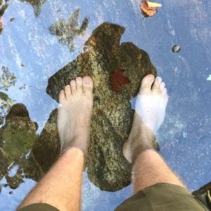 Meet your Posher, Joshua